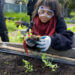 Girl with gloves tending to garden.