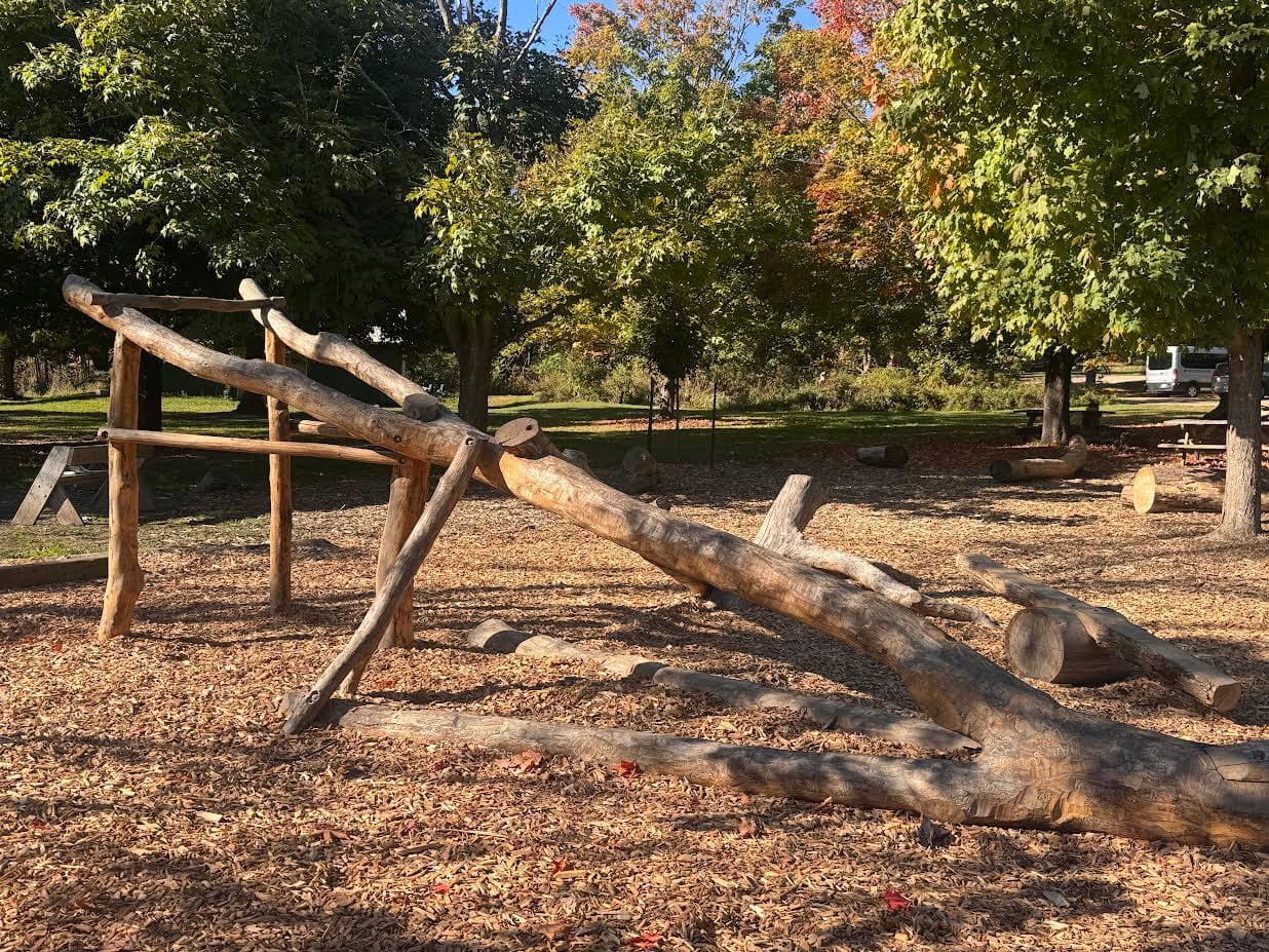 Playground equipment made with natural logs in an outdoor playground with leaves turning colors in the background