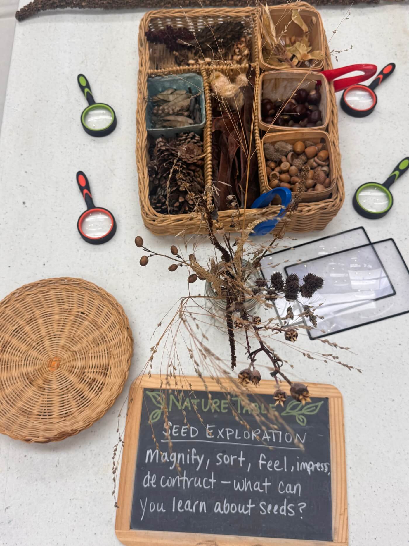 A wicker basket containing several types of seeds sets on a table next to magnifying glasses and a small chalkboard with instruction for children touch, sort, and magnify the seeds