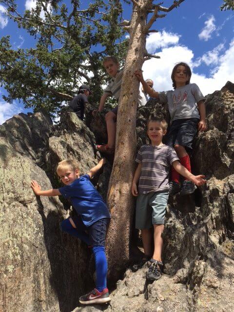Boys playing in trees.