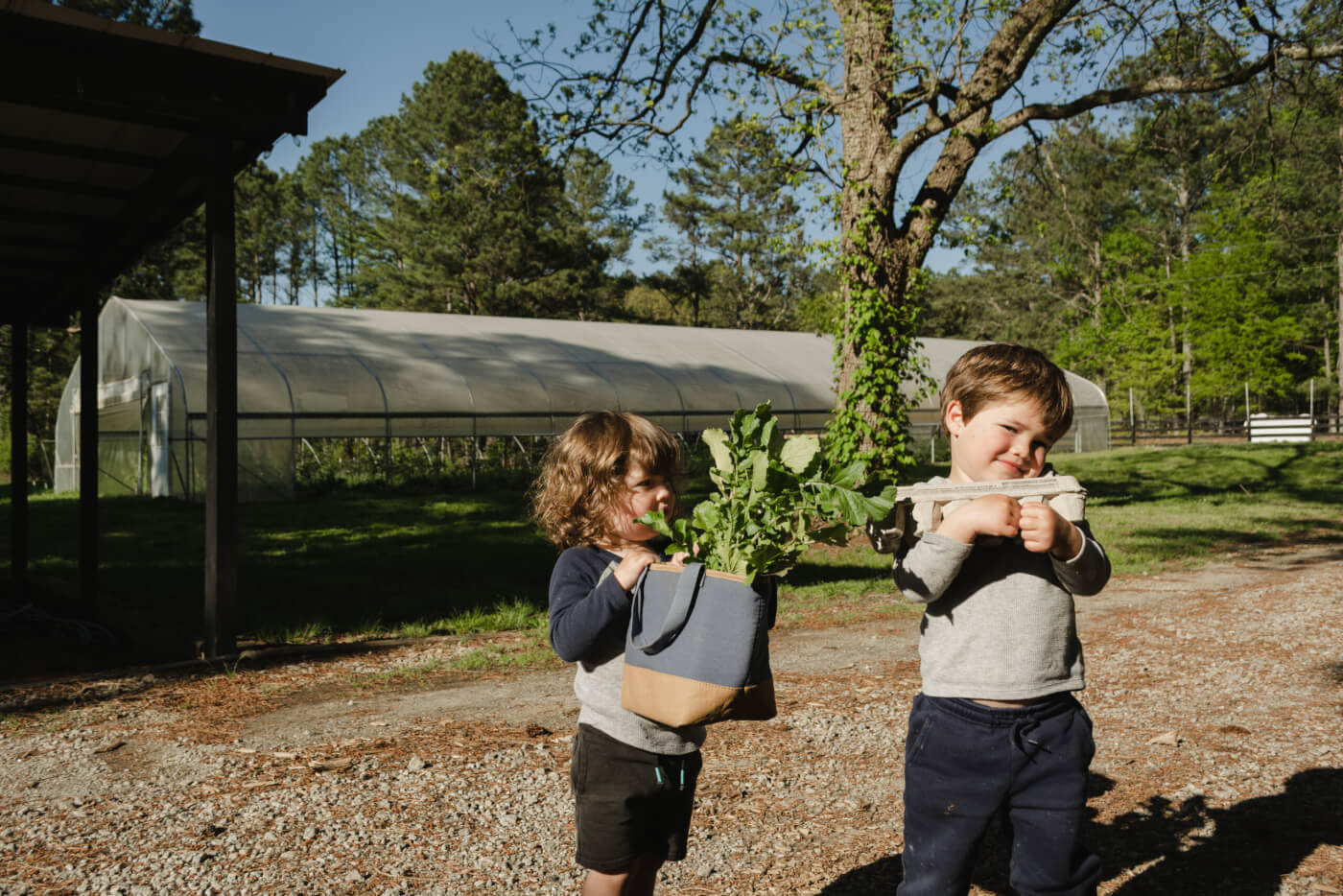 Two children carrying vegetables outside near a greenhouse.