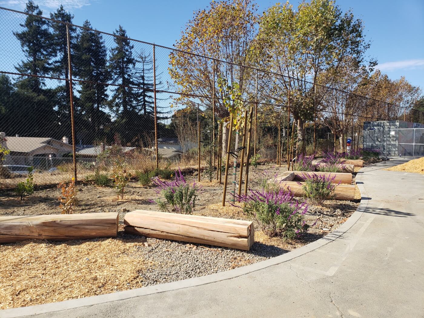 A nature play area featuring several logs carved into benches for sitting, surrounded by mulch and flowers and bordered by a cement path.