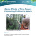 A presentation slide titled “Ripple Effects of Pima County Connecting Children to Nature” with Nature Everywhere and partner logos at the top. Below the title is a photo of a young child in an orange shirt reaching out to touch a tall cactus in a desert landscape with green vegetation in the background.