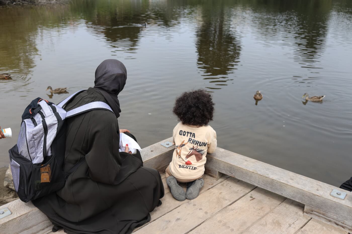 Adult and child sitting on a wooden dock watching ducks on a pond.