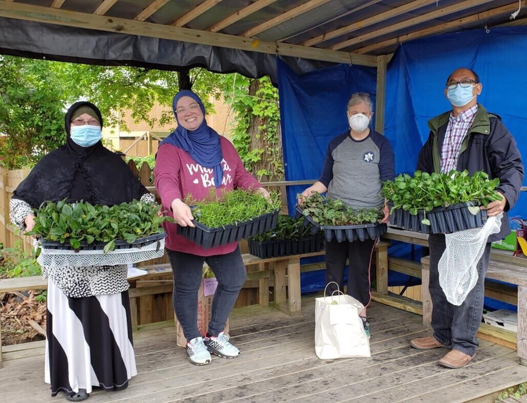 Four masked volunteers holding trays of plants inside a small outdoor garden shelter.