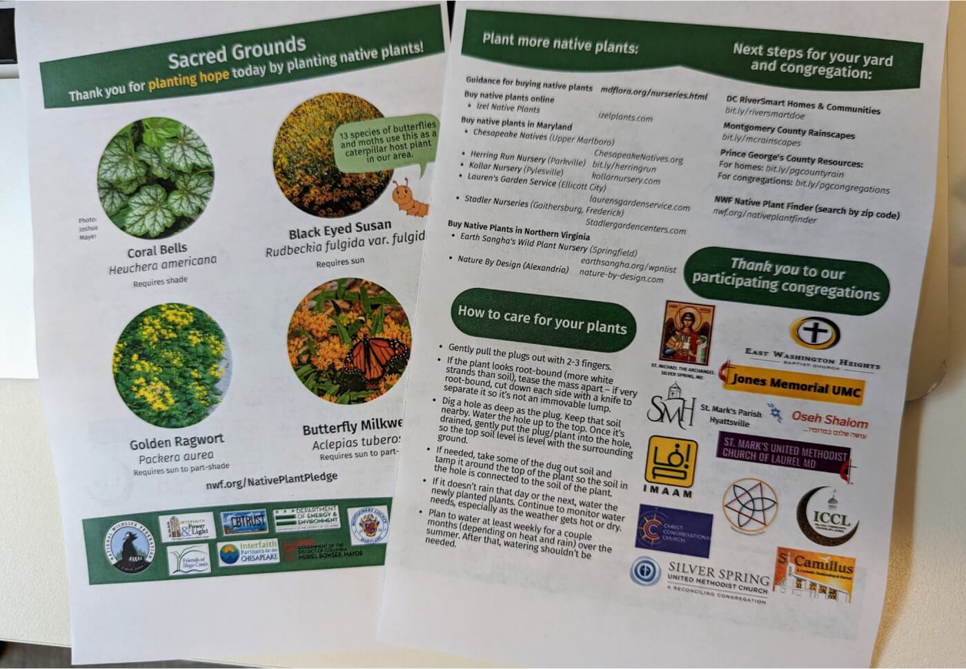 Sacred Grounds flyer promoting native plants, planting tips, and participating congregations.
