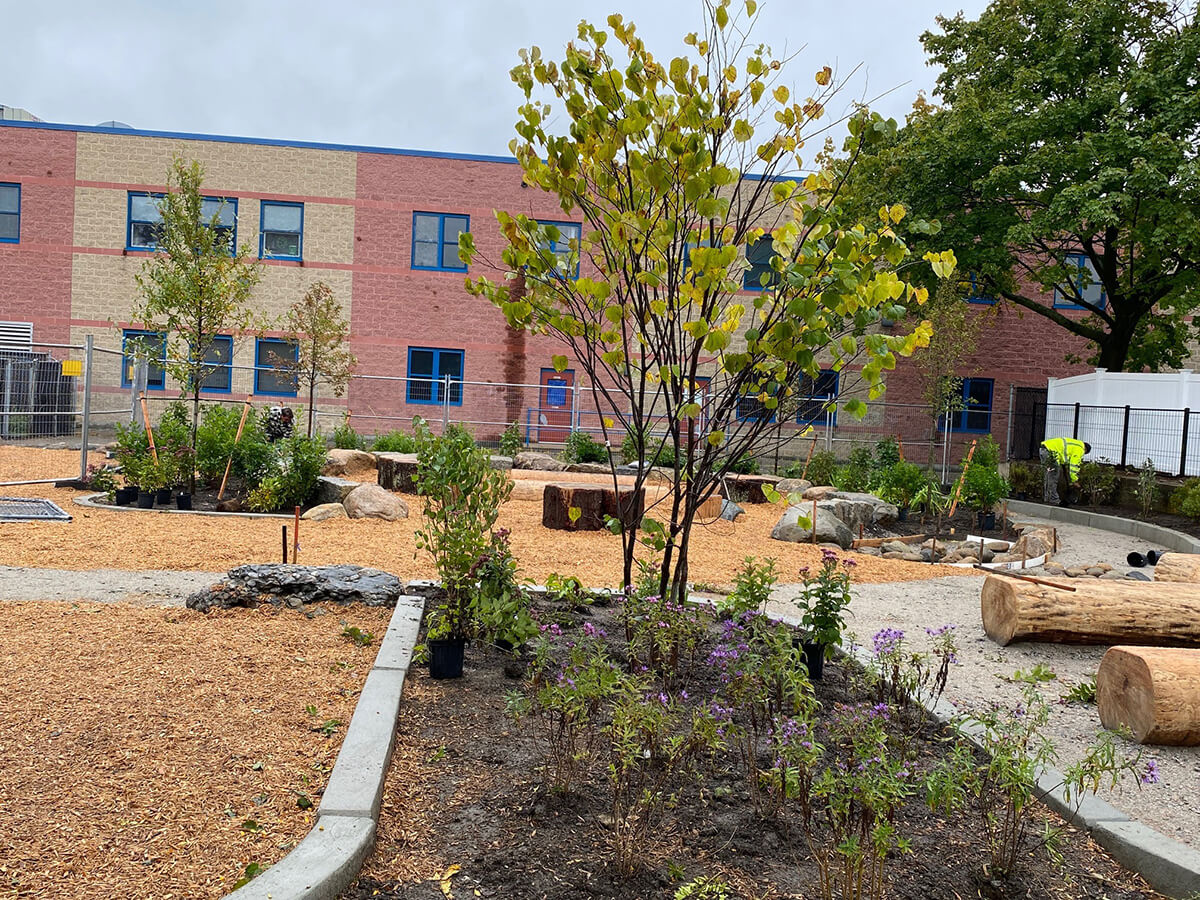 A mulched nature play area features a raised garden bed, newly planted trees, a sitting area with tree stumps, and an area with felled logs for play.