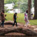 Three children walking and balancing on logs in a wooded outdoor play area at a school.
