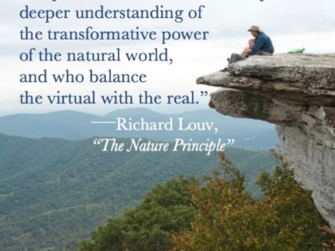 The New Nature Movement Isn’t About Going Back to Nature, but Forward to a Nature-Rich Civilization