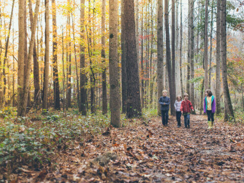 Nature to screens: How our built environment set the stage for the anxious generation