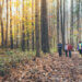 Children walking along a leaf-covered forest trail in autumn.