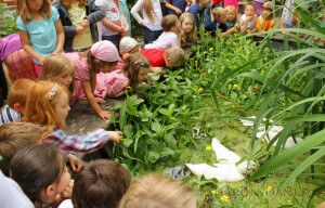 Kids watching birds.