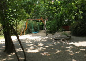 Swingset near woods.