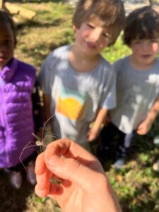 Hand holding a long-legged spider as children watch outdoors.