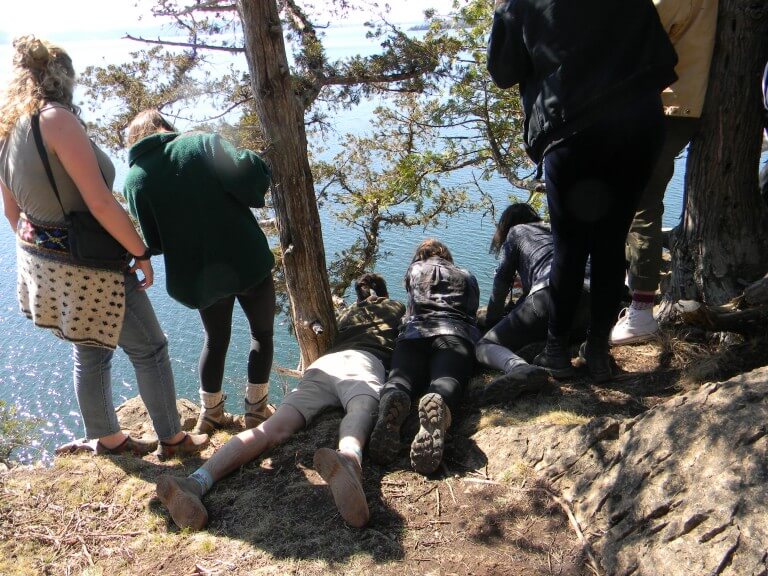 Students examine a peregrine falcon nest on a cliff.