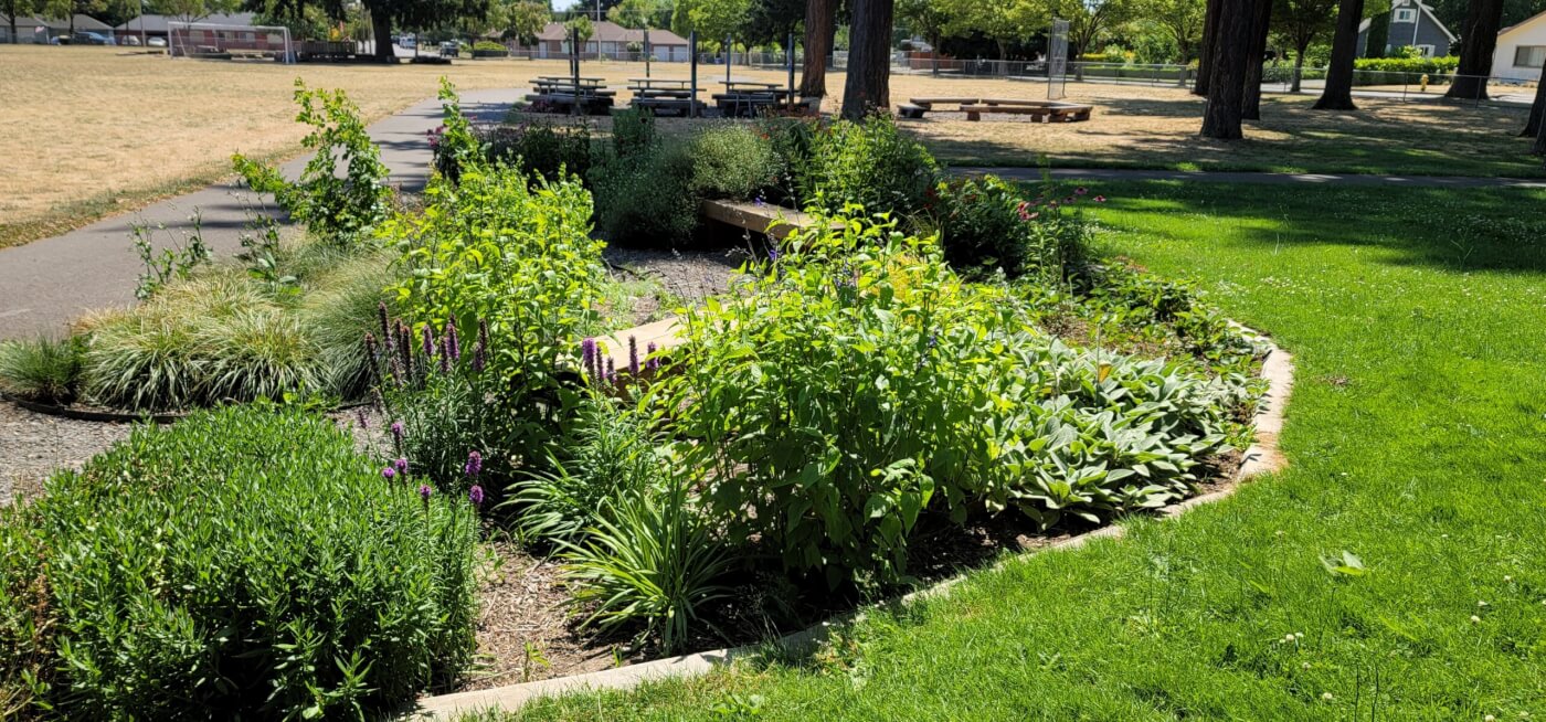 A small green garden is adjacent to a walking path. There are green bushes and purple flowers.