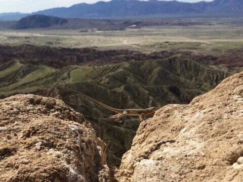 SPRING FORWARD! 12 Ways to Make Sure Your Kids (and You) Get the Right Dose of VITAMIN N this Spring — and Summer, Too