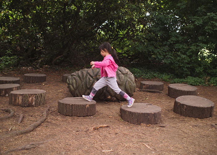 Young child jumping from one tree stump to another in a park.