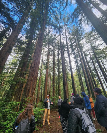 Group standing in forest near trees in Oakland.