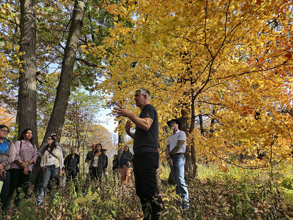 Group talking in a circle in a forest during the fall.