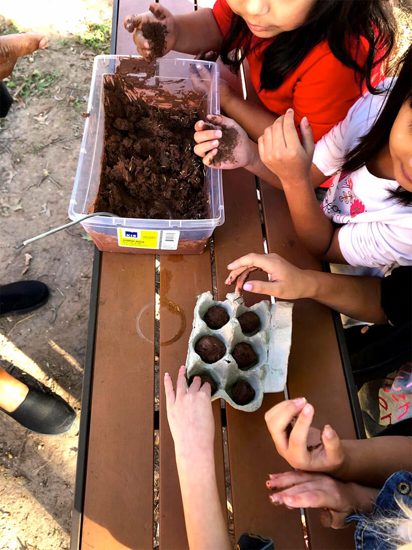 Kids planting seeds with egg cartons filled with dirt.