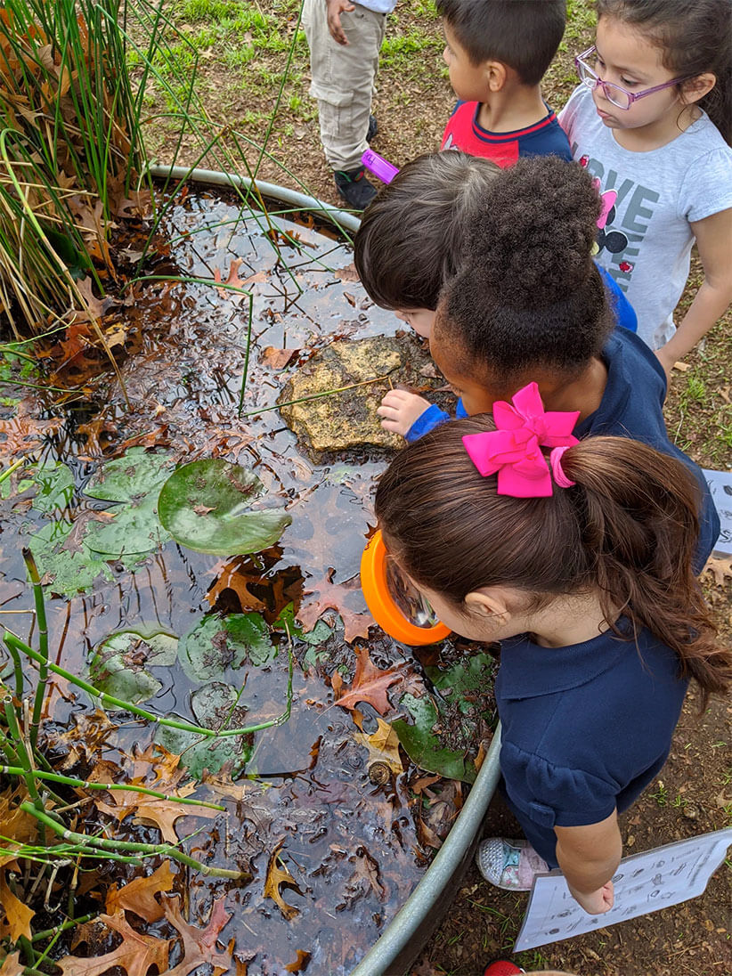 Kids inspecting pond water with lilies.