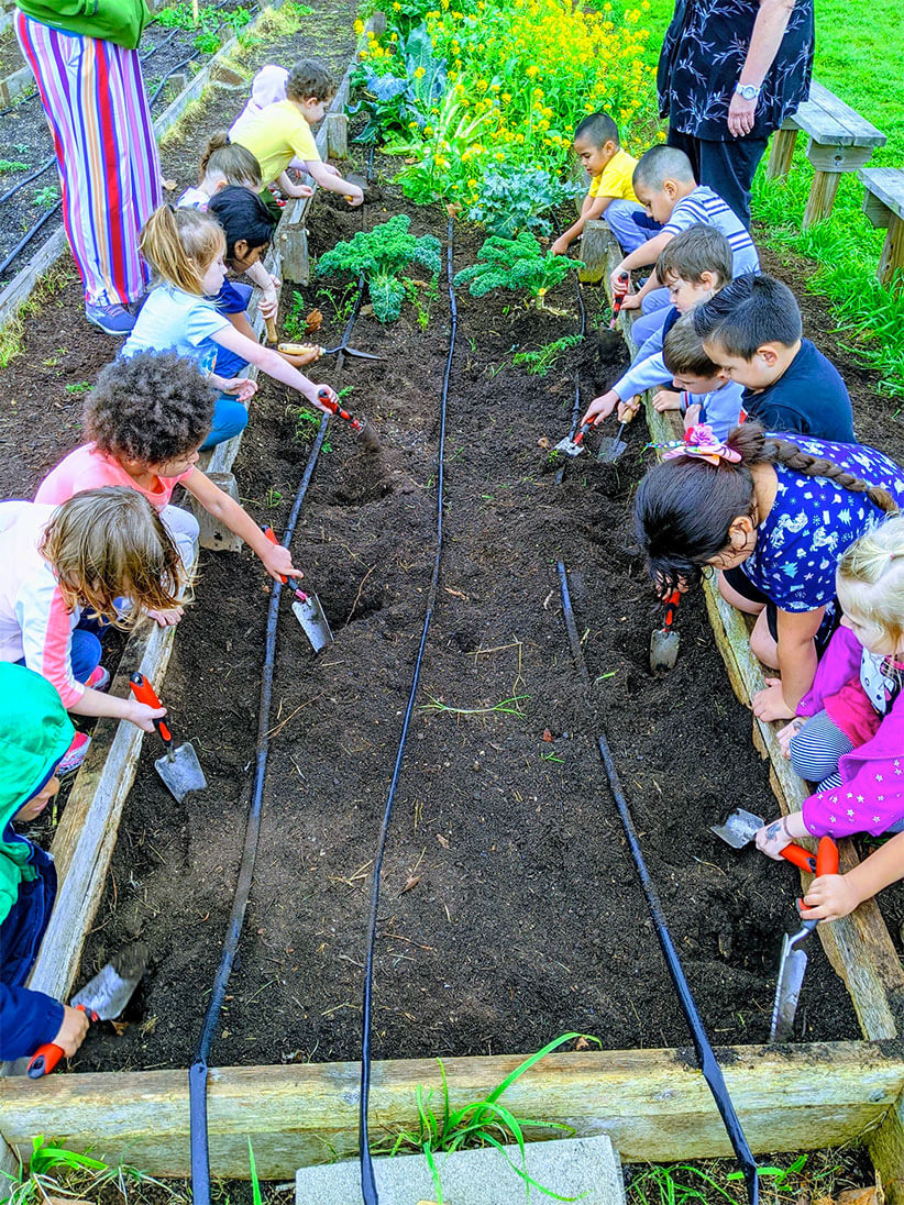 Kids with small shovels digging holes to plant seeds in.