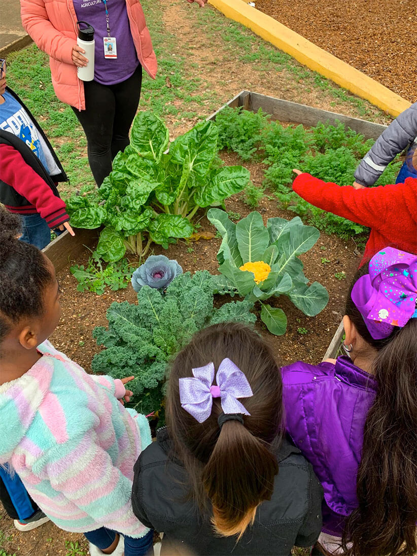 Kids inspecting vegetables in raised planter.