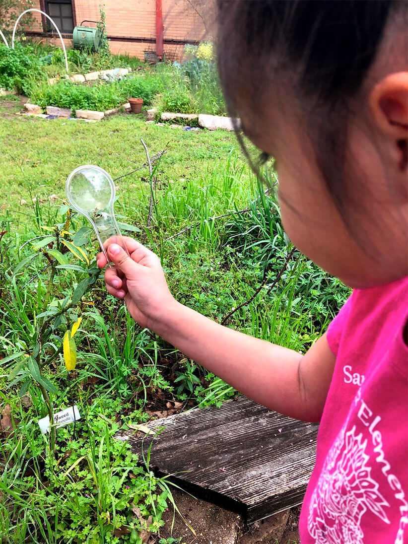 Young girl using magnifying glass on garden plants.