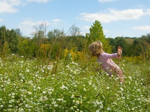 LET’S CREATE A WORLDWIDE HOMEGROWN PARK!