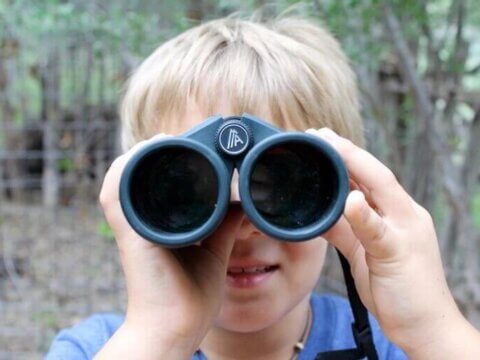 Birding with Kids, You Don’t Have to be an Expert