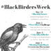 BlackBirders Week