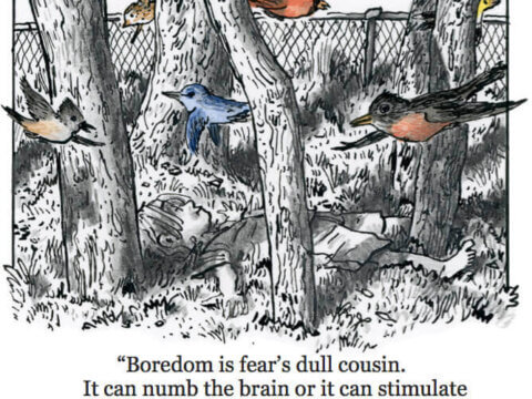 In defense of boredom: it can lead to imaginative play, creativity and the great outdoors