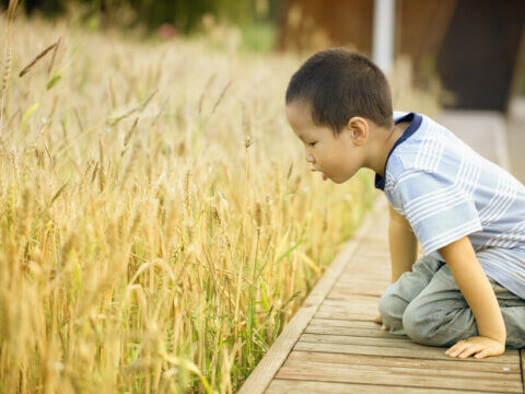 PEACE LIKE A RIVER: There’s a Time for Hyper-vigilance and a Time to Pay a Different Kind of Attention