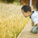 Boy looking at grass.