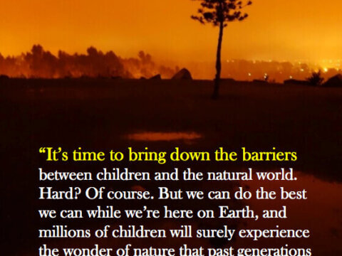 BRING DOWN THE BARRIERS!  Five Causes of Nature-Deficit Disorder; Five Challenges for the New Nature Movement