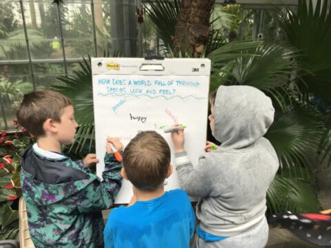 Celebrating Endangered Species in Nearby Nature