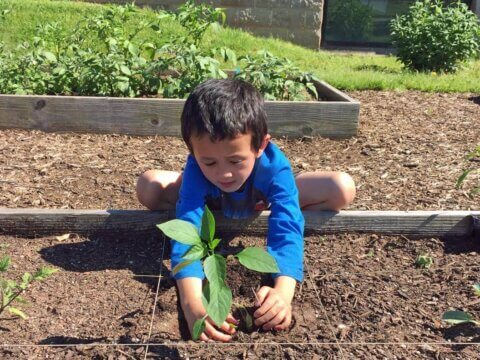 THINKING OUTSIDE OF THE STACKS: The Growth of Nature-Smart Libraries