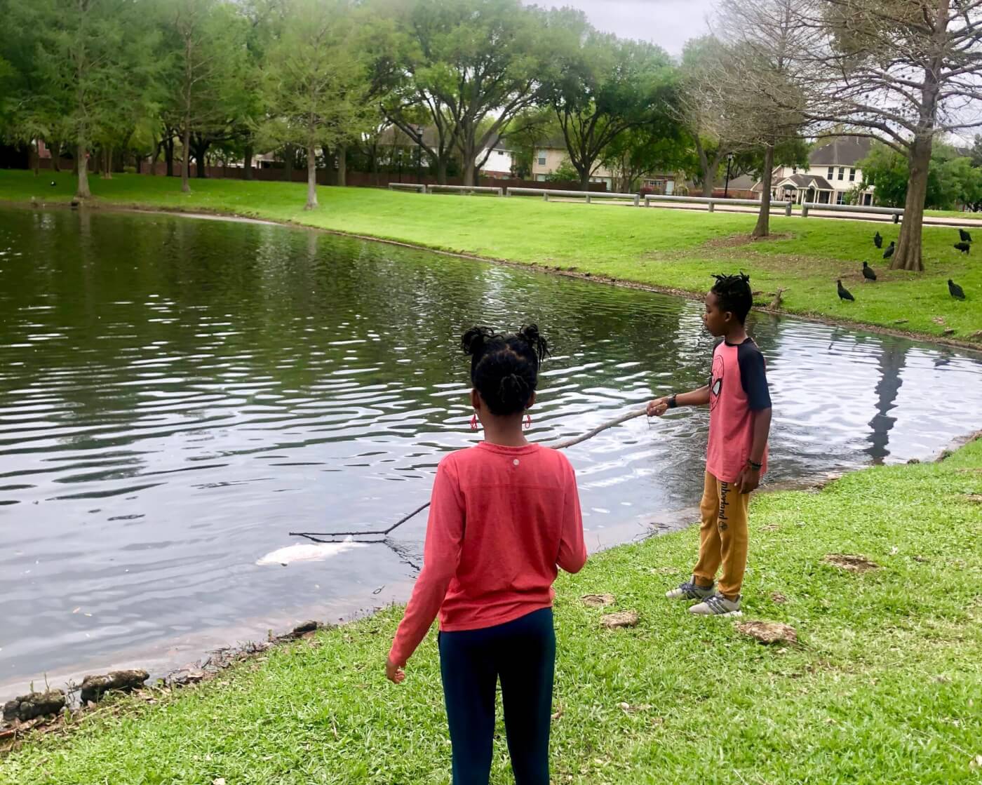 Two children stand by a lake. One child is holding a stick and poking a fish.