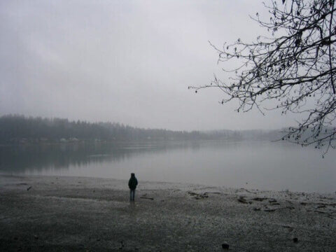 THE LADY ACROSS THE LAKE: How nature stimulates creativity and community — for children and adults