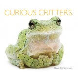 Way-good gift books for the 11th hour and the new year