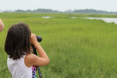 Photo by Daphne Stubbolo