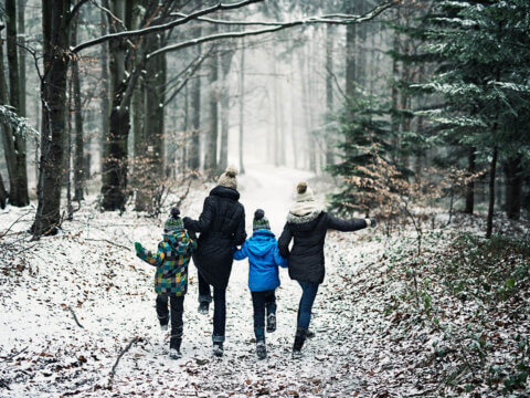 Seven Ways to Give the Gift of Nature in the New Year