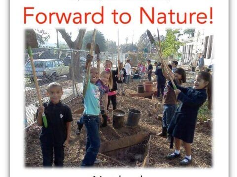 2015: YEAR OF THE NATURE-RICH CITY?