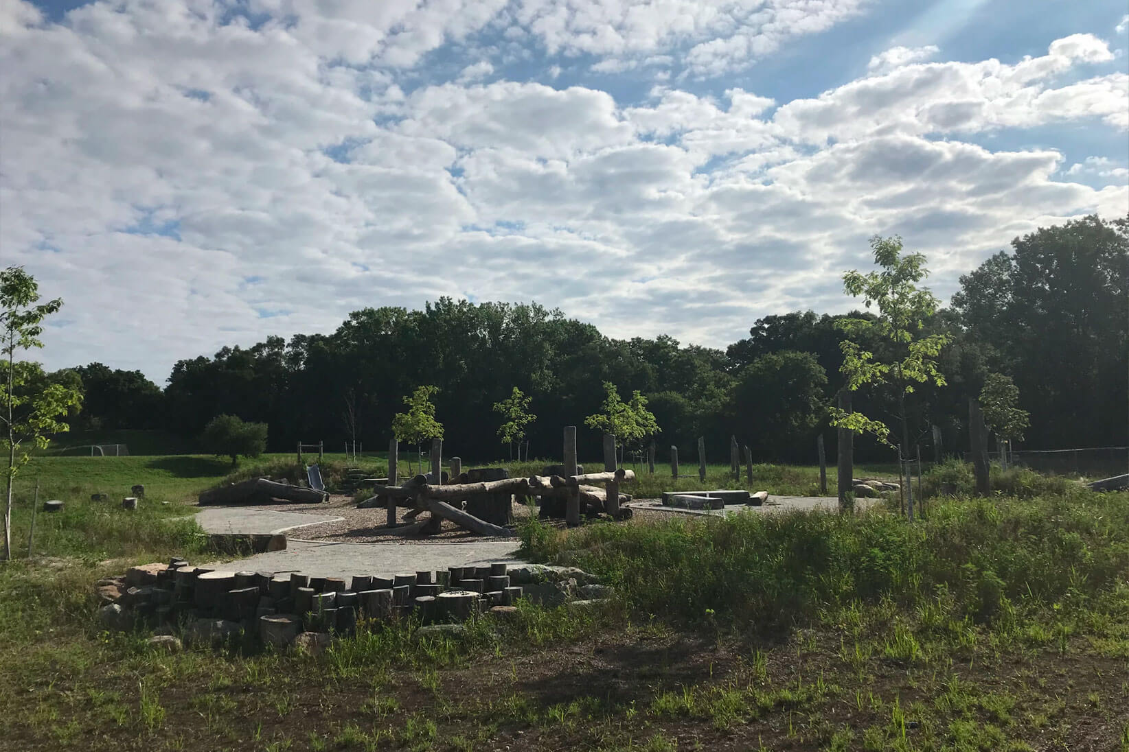 Grass and trees in park.