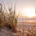 beach and sunset