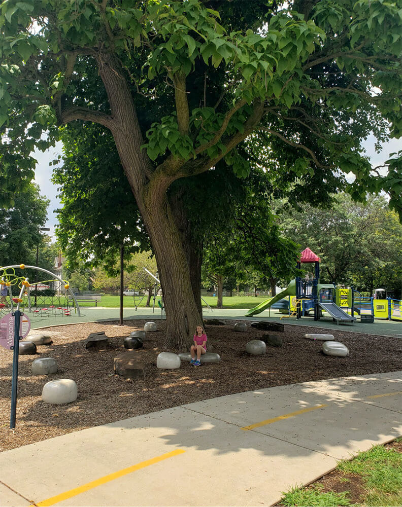 Green Schoolyards with trees.