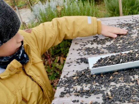 We can help the birds of the world in winter too