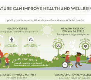 Health & Wellness Thumbnail