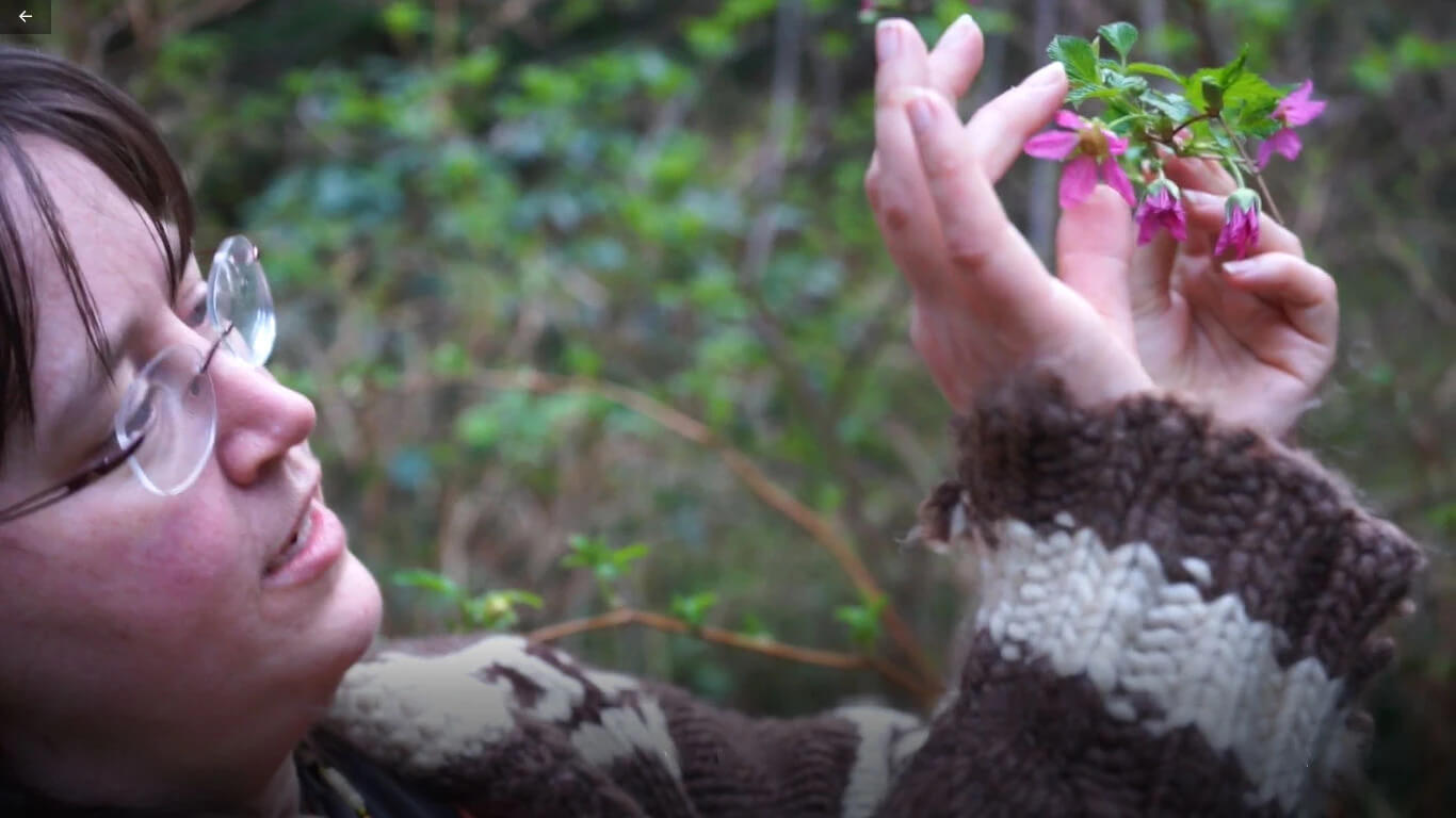 person inspecting flowers